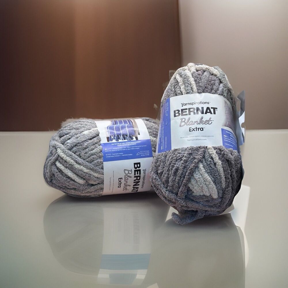 Bernat Blanket Extra Yarn Silver Steel 2 skein 10.5 oz Grandmacore Jumbo 7